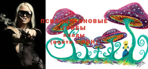 прущие крисы Алексин