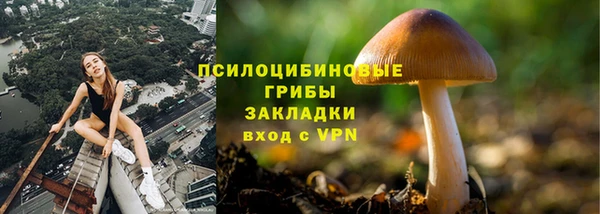 стафф Алексеевка