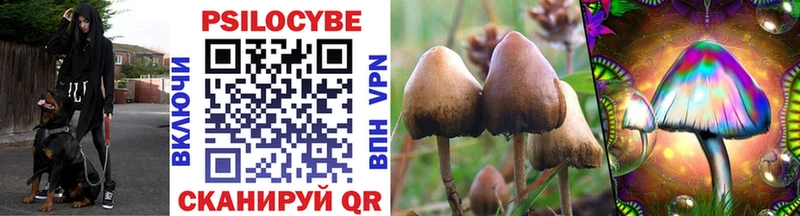 Галлюциногенные грибы Magic Shrooms  Чадан 